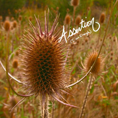 Assertion (I Am Enough) - Part One Melody