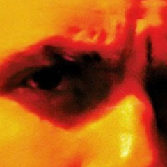 000154_0289 Ernesto Hecke