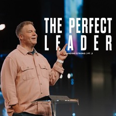 The Perfect Leader