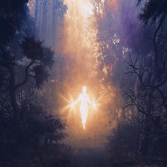 the birds are singing.