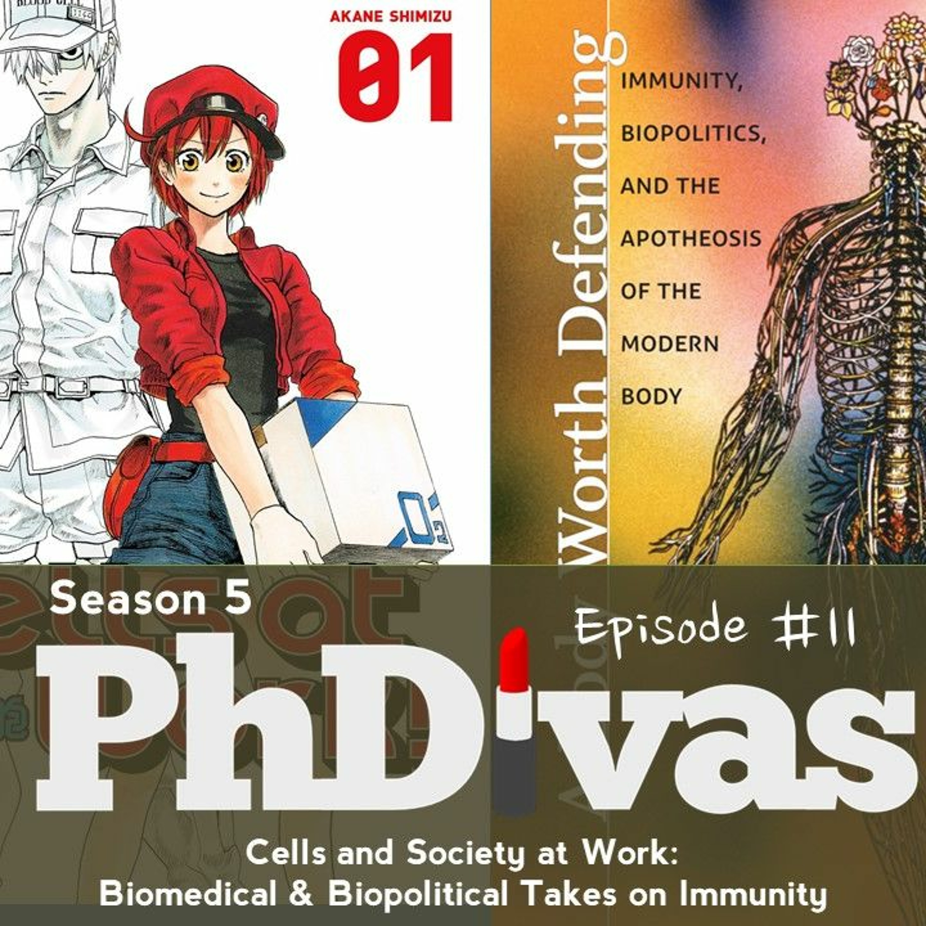 PhDivas