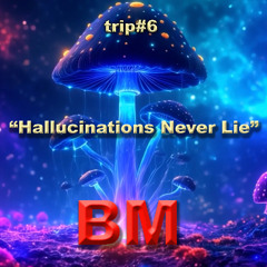 Hallucinations Never Lie