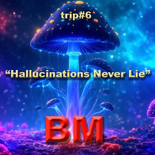 Hallucinations Never Lie