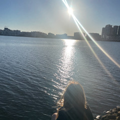 yellow sun blue world freestyle