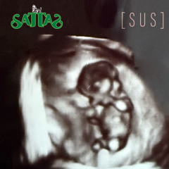Sus