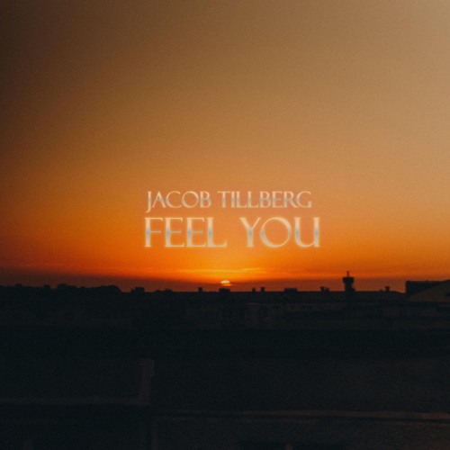 Jacob Tillberg - Feel You
