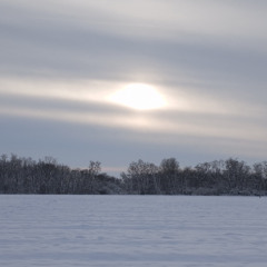 DayLight