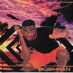 Bushman - No 1 Else (ABBERALL & DJ TomUś REMIX)