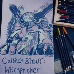 Witchpricker (remix Ben Budin).wav