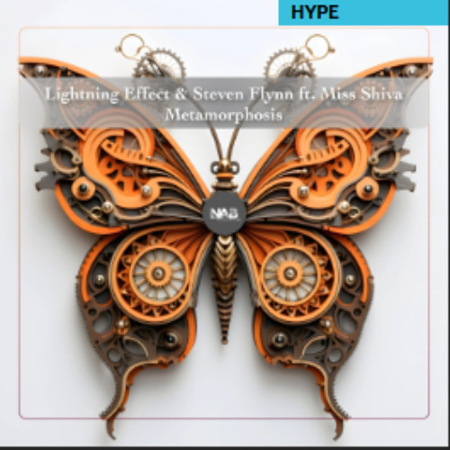 Steven Flynn - Store Front