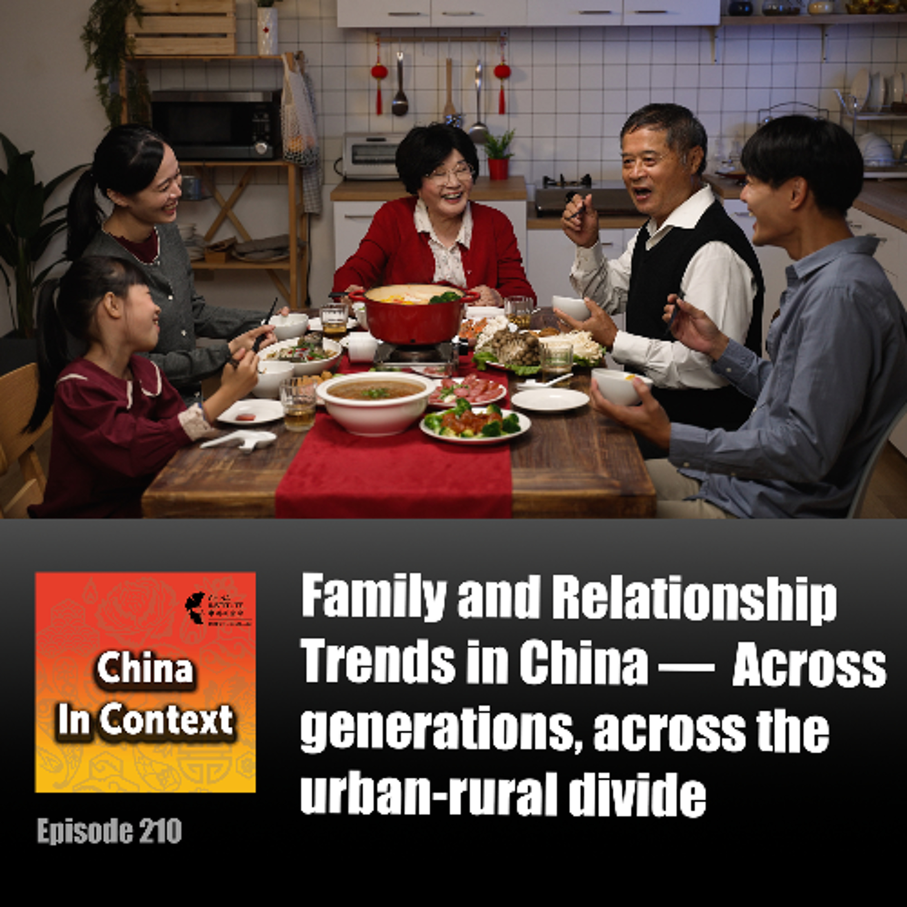 Ep210: Family and Relationship Trends in China — Across generations, across the urban-rural divide episode artwork