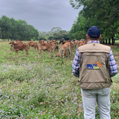 Construyendo una ganadería más productiva, resiliente y sostenible Diciembre 4 2025