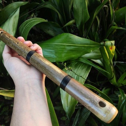 Stream F Aeolian Bamboo Flute by Rui Gomes Listen online for free on