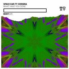Space Ear Feat. Corinna - What Have You Done