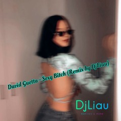 David Guetta ft Akon - Sexy Bitch.DjLiau Remix