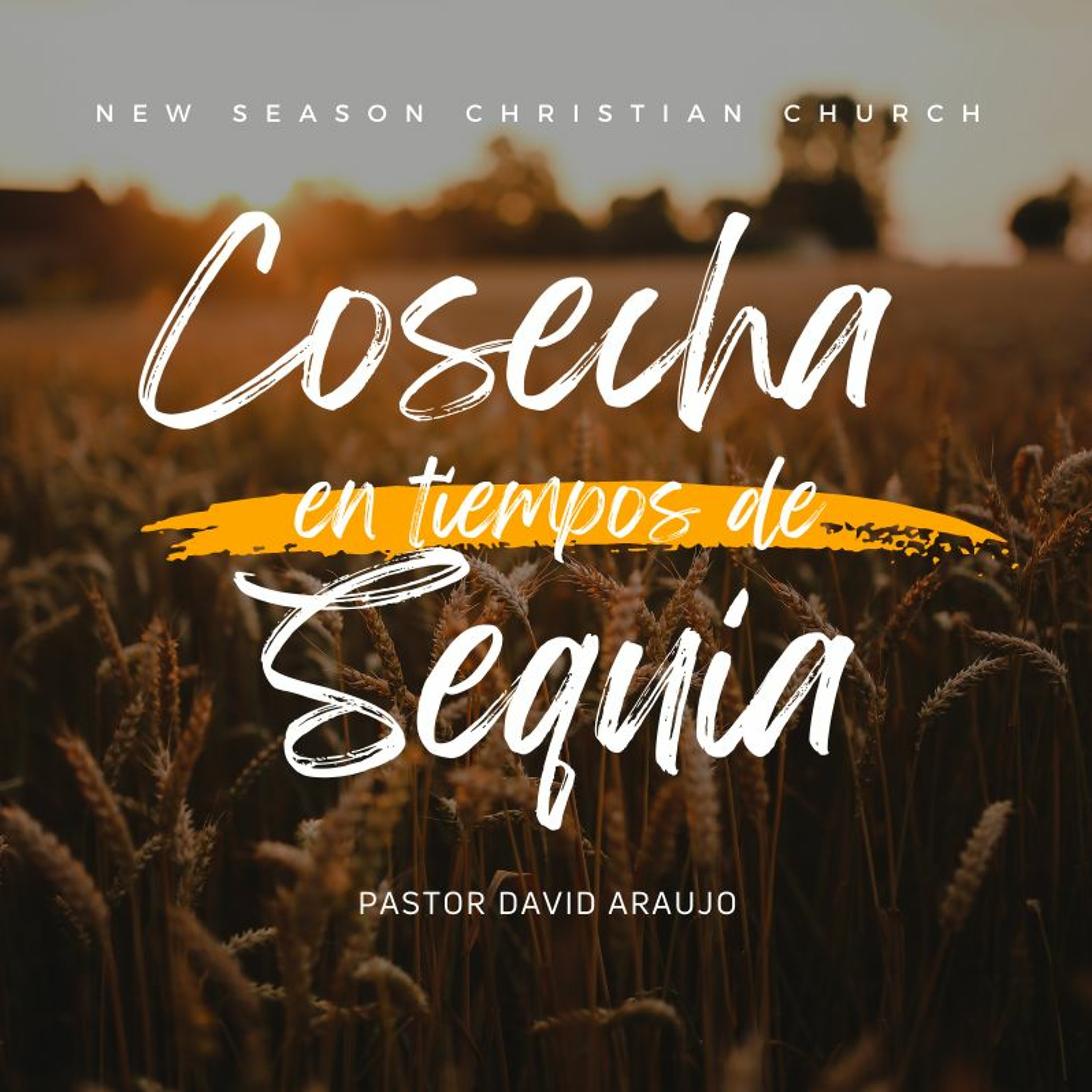 Cosecha en Tiempos de Sequía :: Pastor David Araujo | 02.06.2022 episode artwork