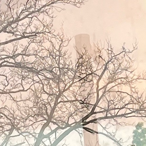 river (demo session)