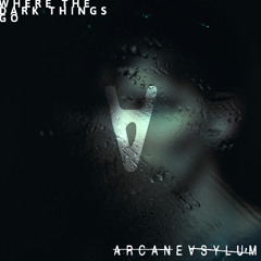 Where The Dark Things Go