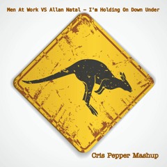Men At Work VS Allan Natal - I'm Holding On Down Under (Cris Pepper Mashup) #FREE