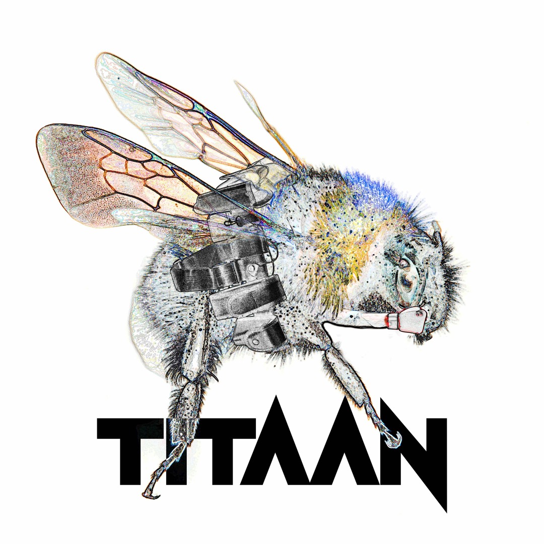 Stream Bee Riot by Titaan | Listen online for free on SoundCloud