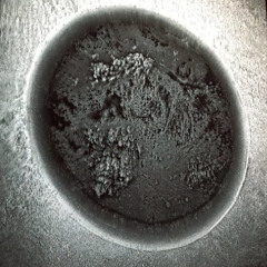 remnant