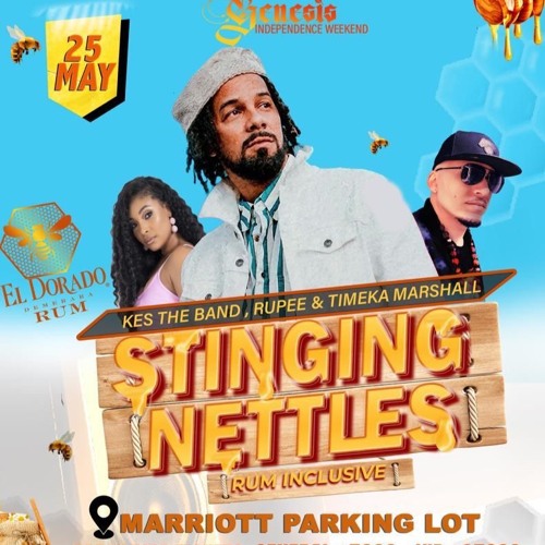STINGINGNETTLES GENESIS BAND LAUNCH MIXED BY DJ ENERGY