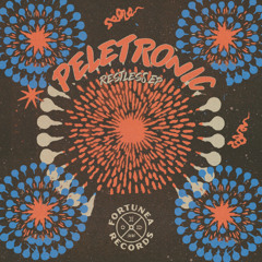 PREMIERE: Peletronic - Timeless Travels [Fortunea Records]