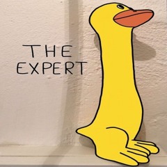 The Expert