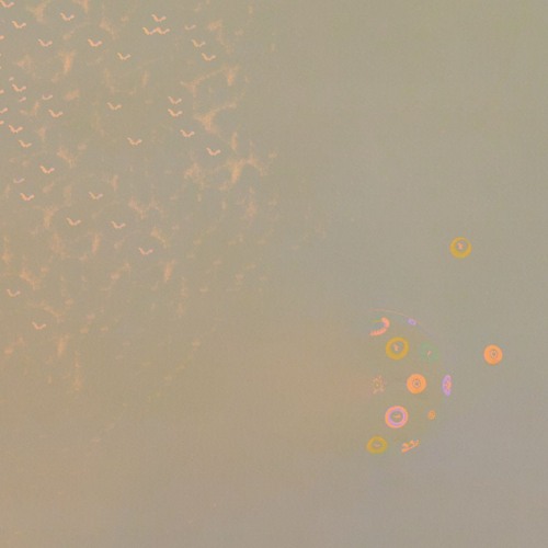 PREMIERE: Pango - Namesake [Project Indigo]