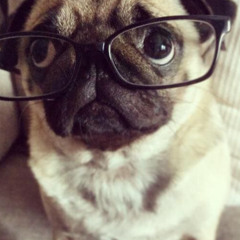 ФКЛУБЕ (Темный принц - ВКЛУБЕ)