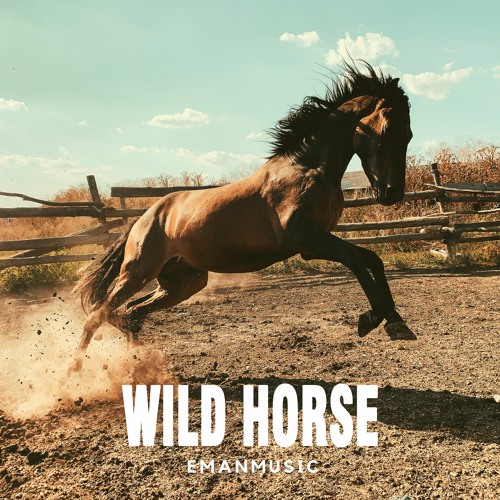 Listen to (No Copyright) Wild Horse 🐎 Action & Sports / Energetic  Background Music For Videos (DOWNLOAD MP3) by EmanMusic in Best Dance  Background Music (Free Download) playlist online for free on SoundCloud