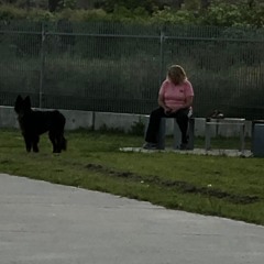 ¡Lhisz - modoavion :(