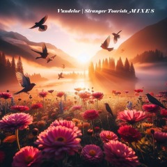 Vandelor | Stranger Tourists ∞ M I X E S