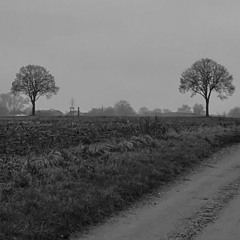 Impro_091224_Cold and Grey