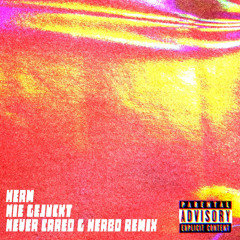 HERM- NIE GEJUCKT (NEVER CARED RMX)