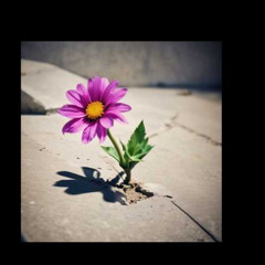 I know breaking cycle of abuse is hard t
