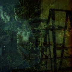 looking up and down at the same time