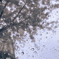 풀, 바람, 비