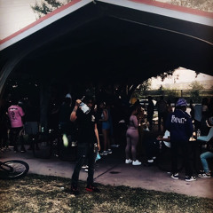 Swervo - why miss it ..?