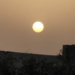 أتينا وفوداً الى المسجد يحيى وفا الحجي