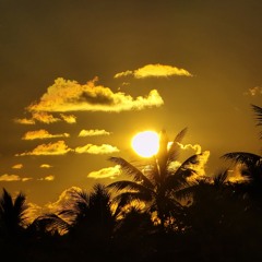 Shaggy ft Rihanna - Carry Me Home.mp3