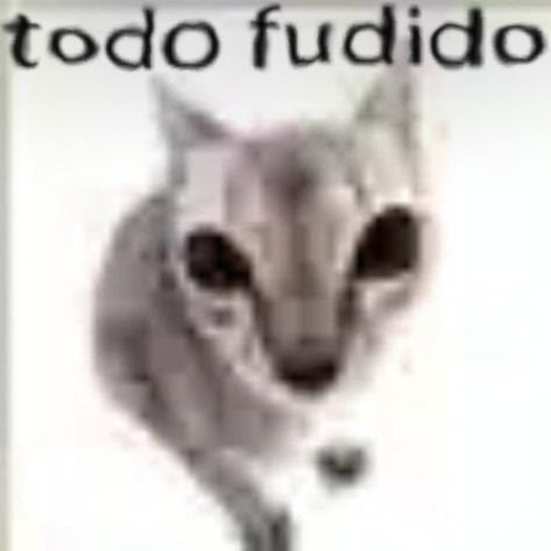 a culpa é minha (interlúdio)