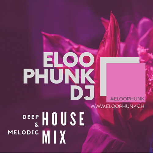Melodic House Mix #046