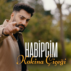 Kokina Çiçeği