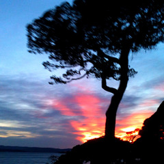 RhemaBoy x Godson Arvntes - C’est comment ?