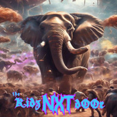 Elephants Drop No Mecry - YDG x Marauda & Wooli x Riot Ten & Bear Grillz (KxD Live Mashup)
