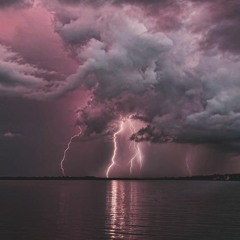 Fish in the pool Remix