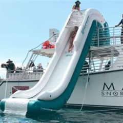 Best Molokini Crater And Turtle Snorkel Prices Reviews