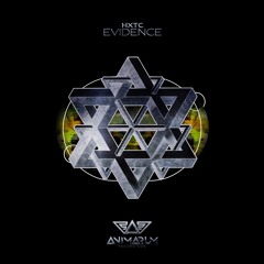 PREMIERE: HXTC - Evidence (Original Mix) [Animarum Recordings]