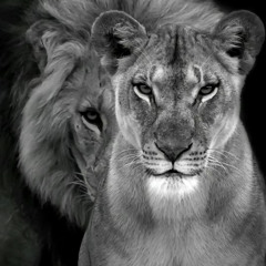 Kamro In My Mind.mp3